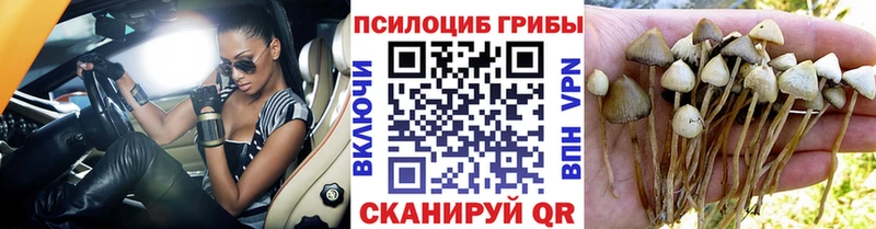 Галлюциногенные грибы GOLDEN TEACHER  где купить наркоту  Усть-Джегута 