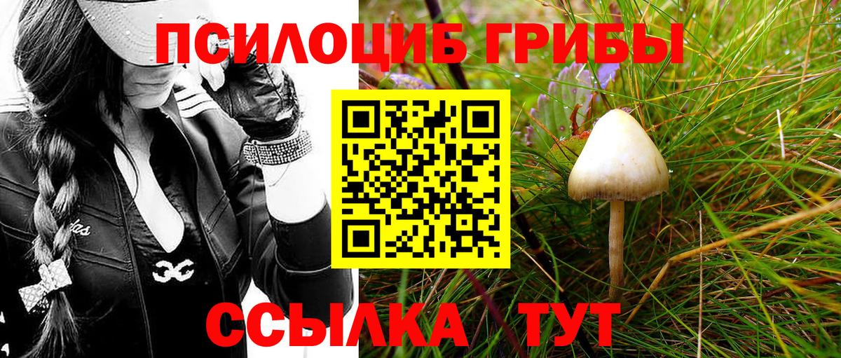 Усть-Джегута  как найти   Вход с VPN  Галлюциногенные грибы GOLDEN TEACHER 